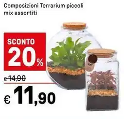 Iper La Grande Composizioni Terrarium piccoli offerta