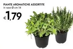 Bennet Piante aromatiche offerta