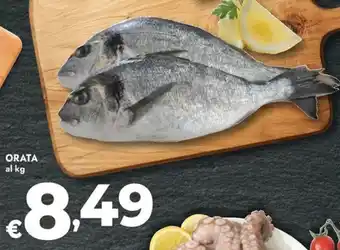 Bennet Orata offerta