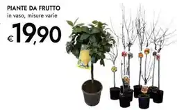 Bennet Piante da frutto offerta
