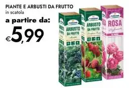 Bennet Piante e arbusti da frutto offerta