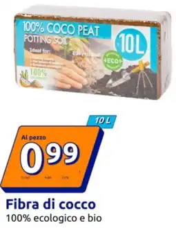 Action Fibra di cocco offerta