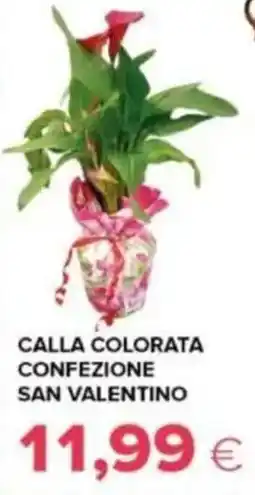 Tigre Calla colorata confezione san valentino offerta