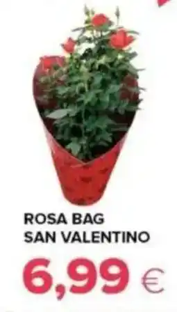 Tigre Rosa bag san valentino offerta