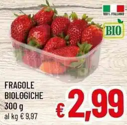 A&O Fragole biologiche offerta