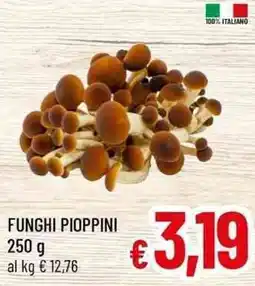 A&O Funghi pioppini offerta