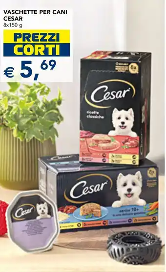 Vaschette per cani CESAR