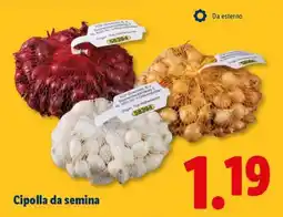 Lidl Cipolla da semina offerta