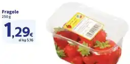 Sigma Fragole offerta