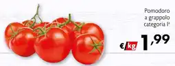 Eurospesa Pomodoro a grappolo offerta