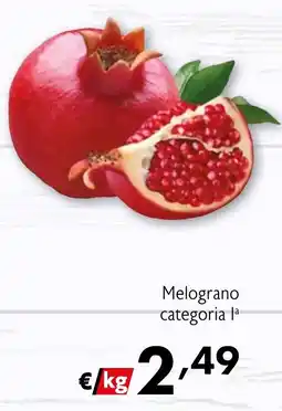 Eurospesa Melograno offerta