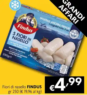 Eurospesa Fiori di nasello FINDUS offerta