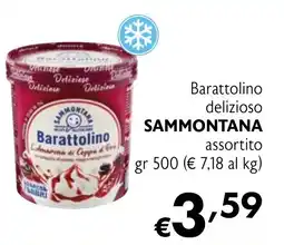 Eurospesa Barattolino delizioso SAMMONTANA offerta