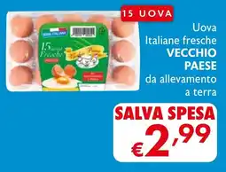 Eurospesa Uova Italiane fresche VECCHIO PAESE da allevamento a terra offerta