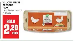 Panorama 10 uova medie fresche PAM offerta