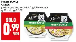Panorama Fresh bowls CESAR offerta