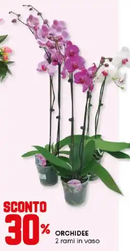 Panorama Orchidee offerta