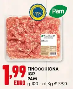 Panorama Finocchiona IGP PAM offerta