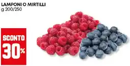 Panorama Lamponi o mirtilli offerta