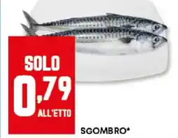 Panorama Sgombro offerta