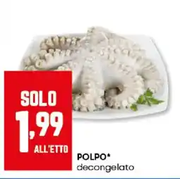 Panorama Polpo decongelato offerta