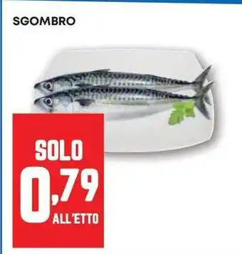 Pam Sgombro offerta