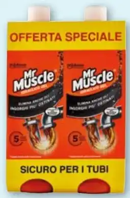Eurospesa MR MUSCOLO idraulico gel 5 in 1 bipacco offerta