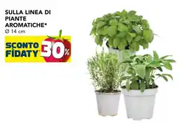 Esselunga Sulla linea di piante aromatiche offerta