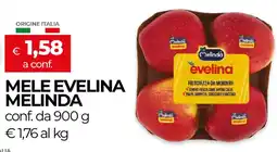 Unicoop Mele evelina MELINDA offerta