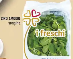 Ciro Amodio CIRO AMODIO songino offerta