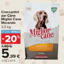 Carrefour Market Croccantini per Cane Miglior Cane Morando offerta