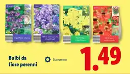 Lidl Bulbi da fiore perenni offerta