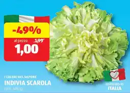 ALDI I colori del sapore indivia scarola offerta