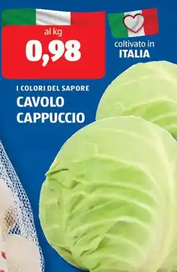 ALDI I colori del sapore cavolo cappuccio offerta