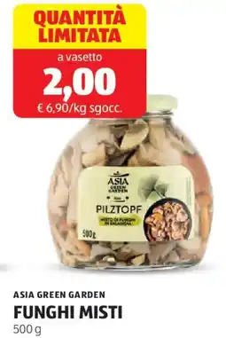 ALDI Asia green garden funghi misti offerta