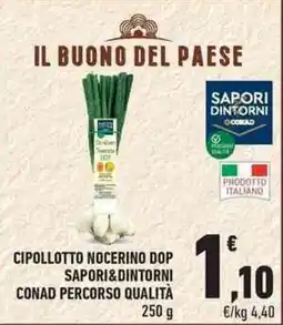 Conad City Cipollotto nocerino dop SAPORI&DINTORNI CONAD PERCORSO QUALITÀ offerta
