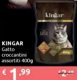 Ipersoap KINGAR Gatto croccantini offerta
