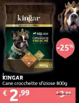Ipersoap KINGAR Cane crocchette sfiziose offerta