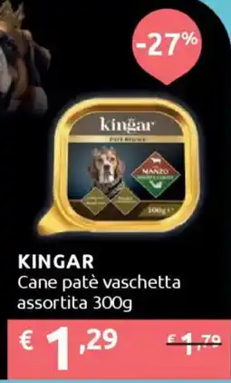 Ipersoap KINGAR Cane patè vaschetta offerta