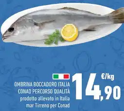 Conad Ombrina boccadoro italia conad percorso qualità offerta