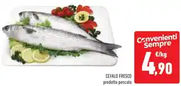 Conad Cefalo fresco offerta