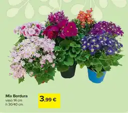 Carrefour Mix Bordura offerta