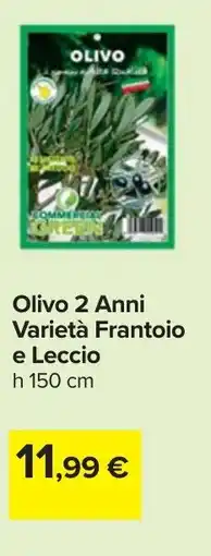 Carrefour Olivo 2 Anni Varietà Frantoio e Leccio offerta