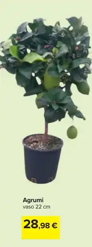 Carrefour Agrumi offerta