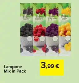 Carrefour Lampone Mix in Pack offerta