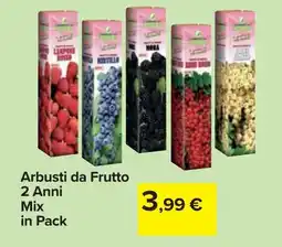 Carrefour Arbusti da Frutto 2 Anni Mix in Pack offerta