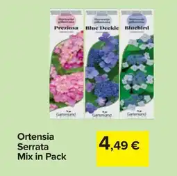 Carrefour Ortensia Serrata Mix in Pack offerta