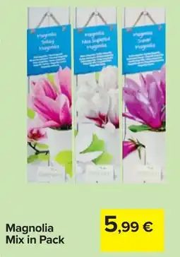 Carrefour Magnolia Mix in Pack offerta
