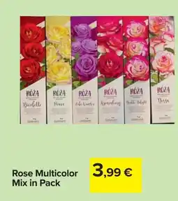 Carrefour Rose Multicolor Mix in Pack offerta