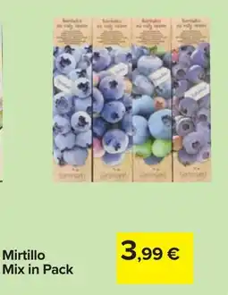Carrefour Mirtillo Mix in Pack offerta
